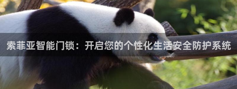 利记娱乐会员金钻官网：索菲亚智能门锁：开启您的个性化生活安全