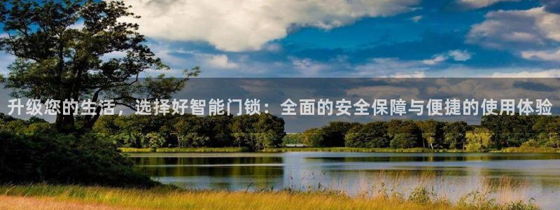 利记坊官网注册账号：升级您的生活，选择好智能门锁：全面的安全