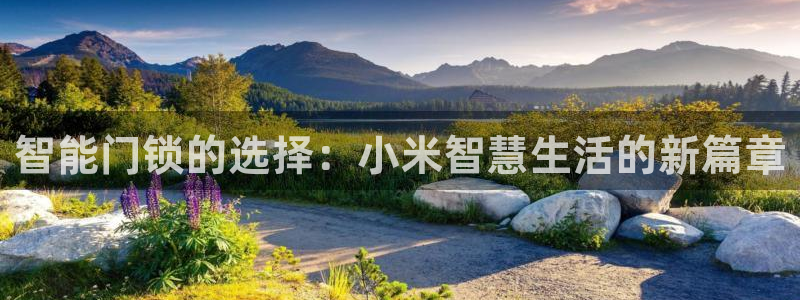 利记官网入口：智能门锁的选择：小米智慧生活的新篇章