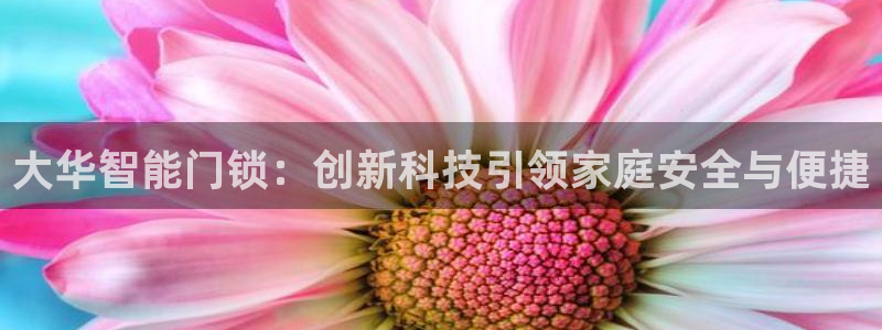 香港利记lee kee集团官网：大华智能门锁：创新科技引领家