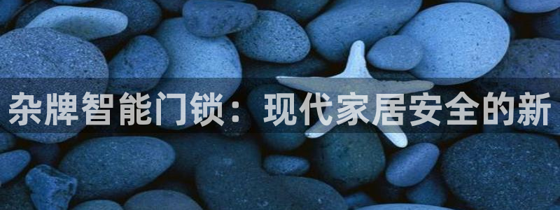 香港利记集团官网旗舰店：杂牌智能门锁：现代家居安全的新