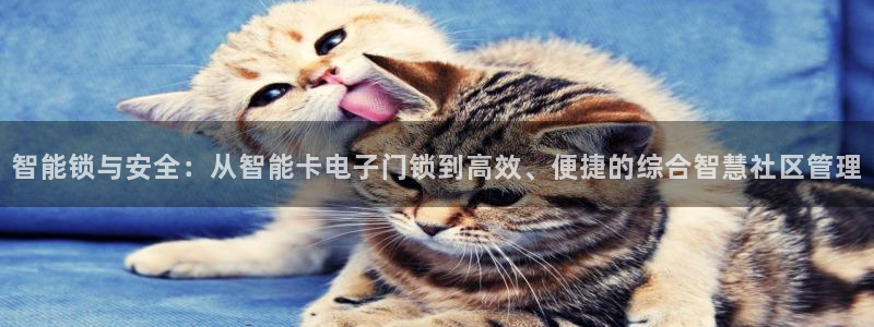 利记国际有限公司官网：智能锁与安全：从智能卡电子门锁到高效、