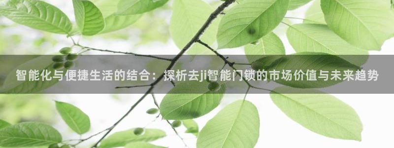 利记官网是真的吗：智能化与便捷生活的结合：探析去ji智能门锁