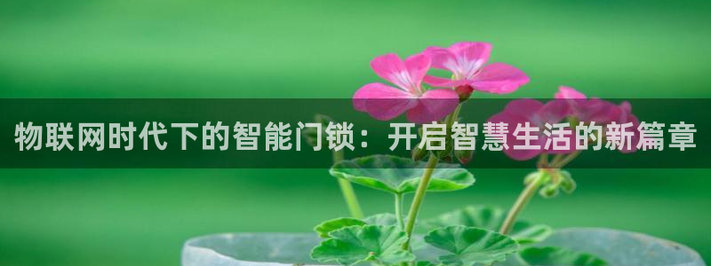 利记官网在线投注：物联网时代下的智能门锁：开启智慧生活的新篇