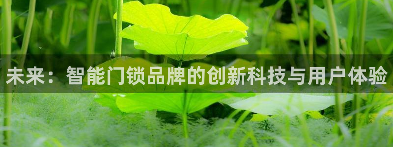 sbobet利记官网登录入口：未来：智能门锁品牌的创新科技与
