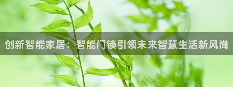 利记官网app下载网址日博官网网址：创新智能家居：智能门锁引