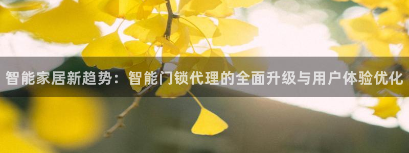 利记官网平台：智能家居新趋势：智能门锁代理的全面升级与用户体