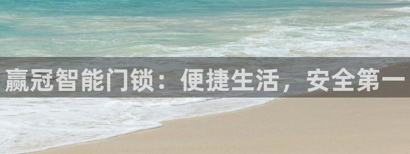 铂利记旗舰店官网：赢冠智能门锁：便捷生活，安全第一