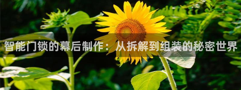 利记彩票导航网址官网hd71：智能门锁的幕后制作：从拆解到组