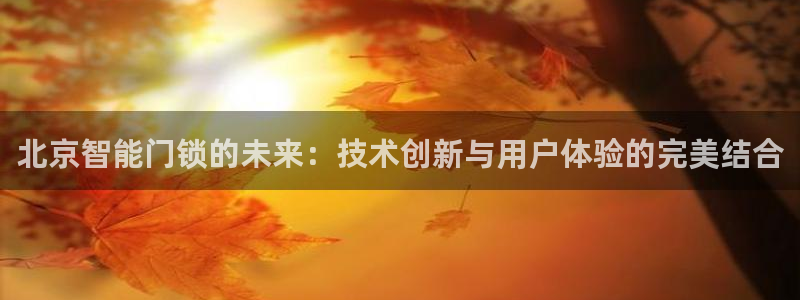 利记官网平台：北京智能门锁的未来：技术创新与用户体验的完美结