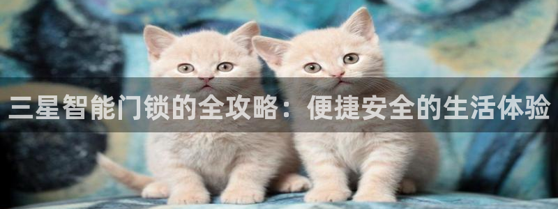 万利记菜单价格查询官网：三星智能门锁的全攻略：便捷安全的生活