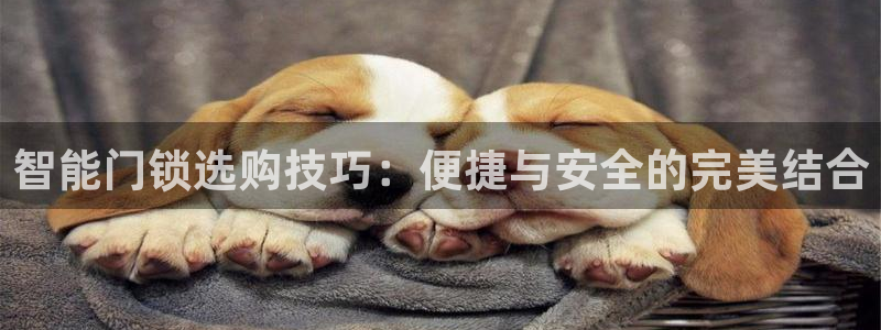 利记国际线址官网：智能门锁选购技巧：便捷与安全的完美结合