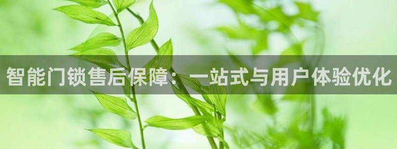 香港利记集团官网招聘：智能门锁售后保障：一站式与用户体验优化