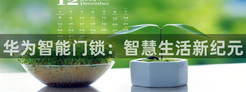 利记官网行业领导者：华为智能门锁：智慧生活新纪元