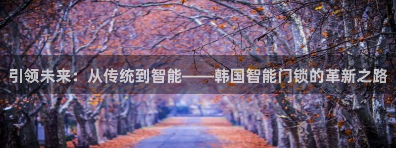 利记买球官网：引领未来：从传统到智能——韩国智能门锁的革新之