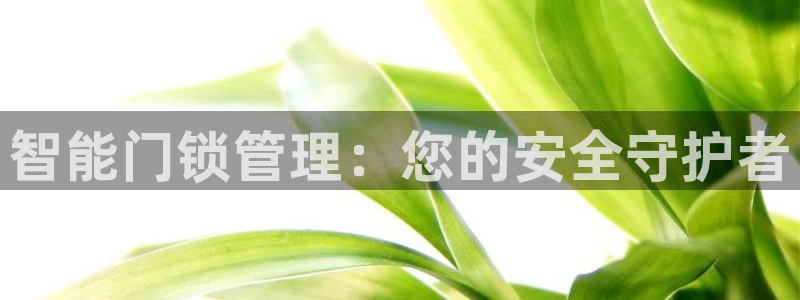 利记博彩官网：智能门锁管理：您的安全守护者