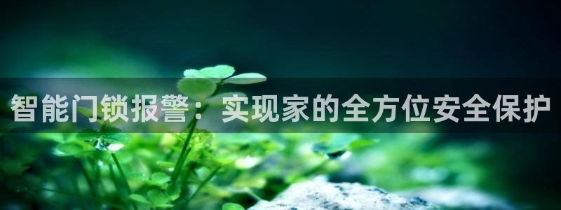 利记平台官网：智能门锁报警：实现家的全方位安全保护