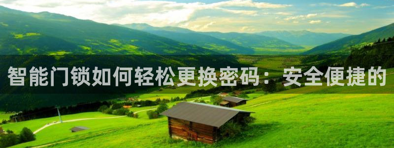 利记二手车行官网：智能门锁如何轻松更换密码：安全便捷的