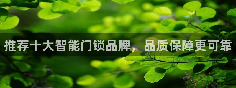 利记真正的官网是多少：推荐十大智能门锁品牌，品质保障更可靠