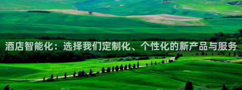 万利记官方旗舰店官网：酒店智能化：选择我们定制化、个性化的新