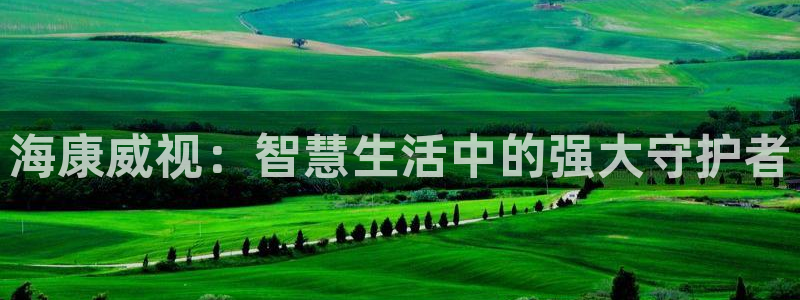 利记手机官网：海康威视：智慧生活中的强大守护者