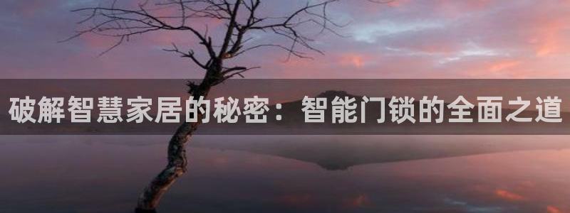利记坊官网注册账号：破解智慧家居的秘密：智能门锁的全面之道