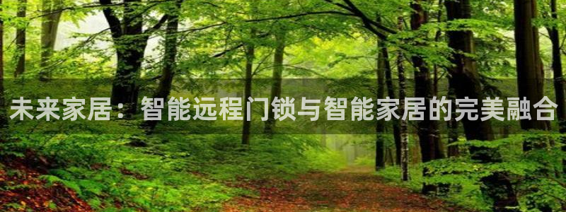 利记国际有限公司官网：未来家居：智能远程门锁与智能家居的完美