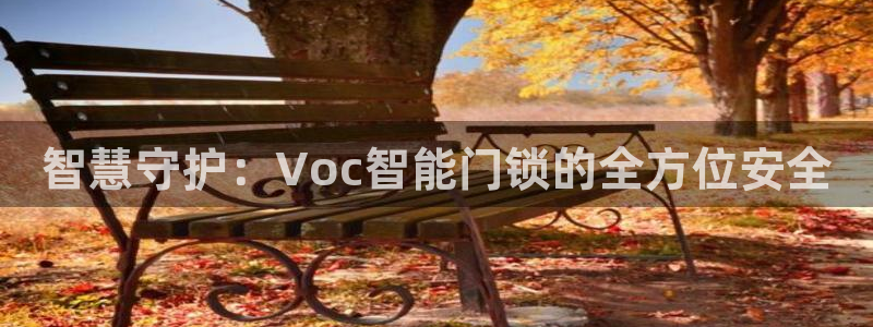 利记手机官网：智慧守护：Voc智能门锁的全方位安全