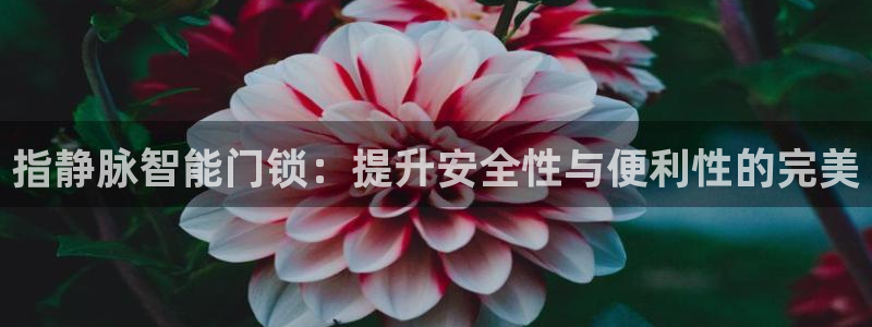 万利记官方旗舰店官网：指静脉智能门锁：提升安全性与便利性的完