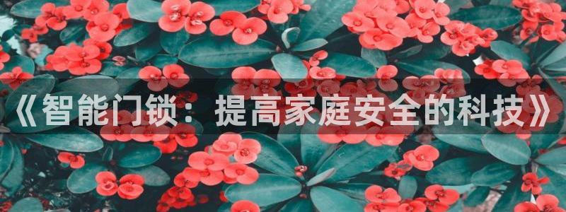 利记88官网app：《智能门锁：提高家庭安全的科技》