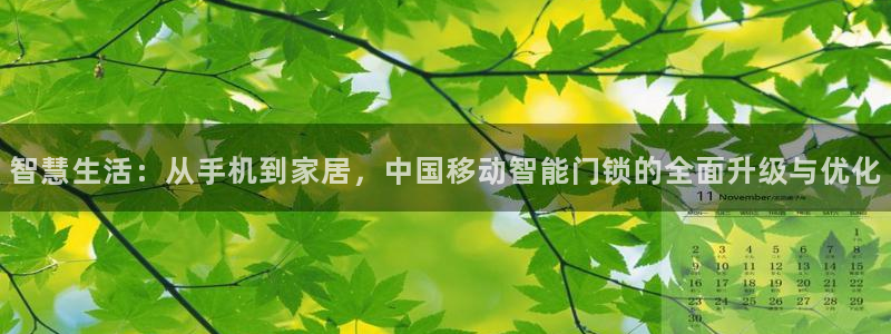 利记国际线址官网：智慧生活：从手机到家居，中国移动智能门锁的
