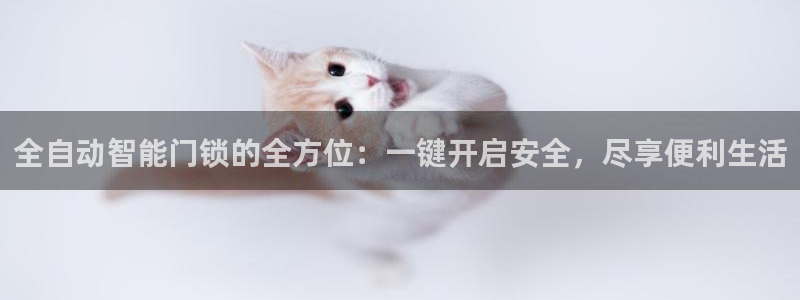 利记 利记官网：全自动智能门锁的全方位：一键开启安全，尽享便