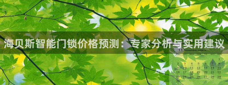 利记官网葡京投注网址：海贝斯智能门锁价格预测：专家分析与实用