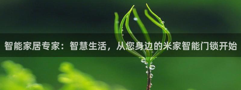 SBOBET利记官网：智能家居专家：智慧生活，从您身边的米家