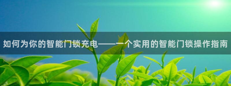 利记游戏开户ysb体育官方官网：如何为你的智能门锁充电——一