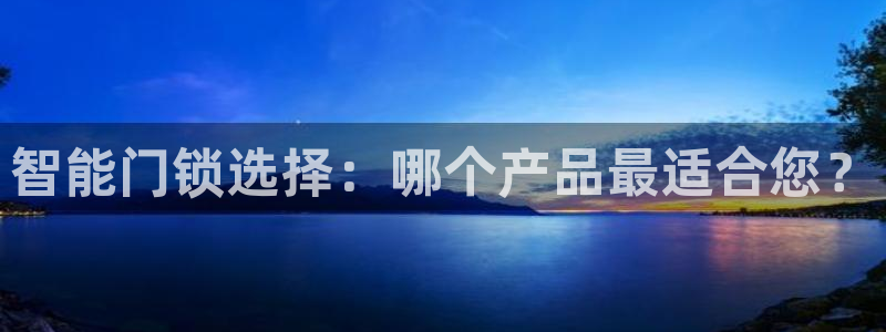 万利记官方旗舰店官网：智能门锁选择：哪个产品最适合您？