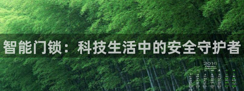 利记官网平台入口：智能门锁：科技生活中的安全守护者