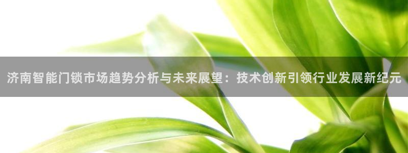 利记彩票官网网址官网hd71：济南智能门锁市场趋势分析与未来