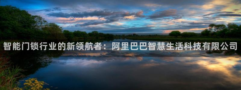 利记娱乐会员金钻官网：智能门锁行业的新领航者：阿里巴巴智慧生