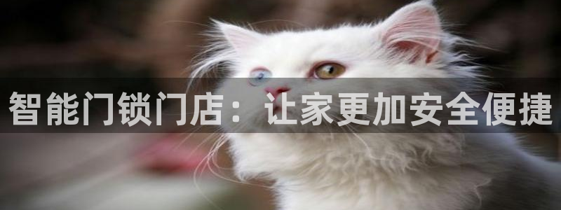 利记足球官网：智能门锁门店：让家更加安全便捷