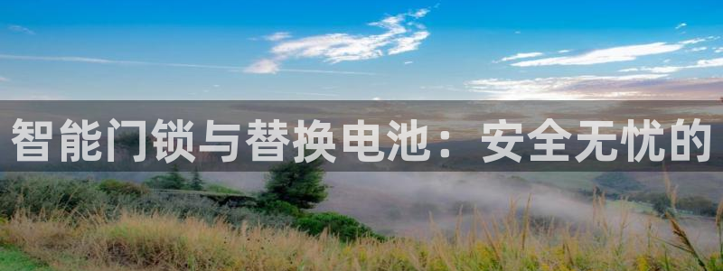利记娱乐网官网：智能门锁与替换电池：安全无忧的