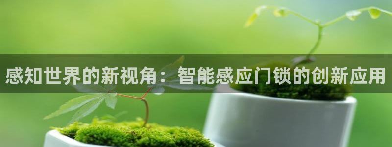 利记网官网：感知世界的新视角：智能感应门锁的创新应用