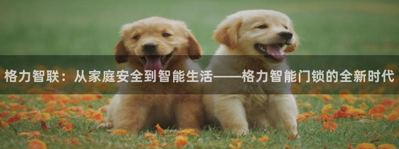 万利记唯一官网：格力智联：从家庭安全到智能生活——格力智能门