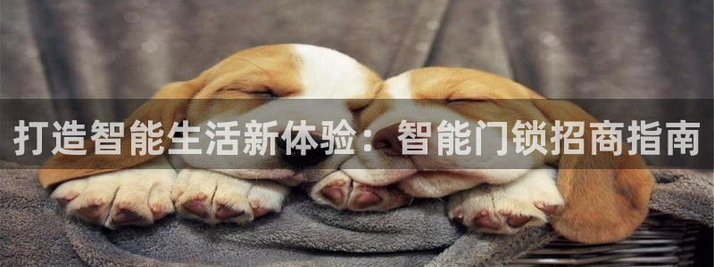 林利记官网：打造智能生活新体验：智能门锁招商指南