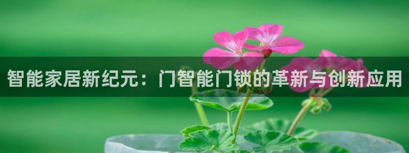 利记坊平台唯一官网：智能家居新纪元：门智能门锁的革新与创新应