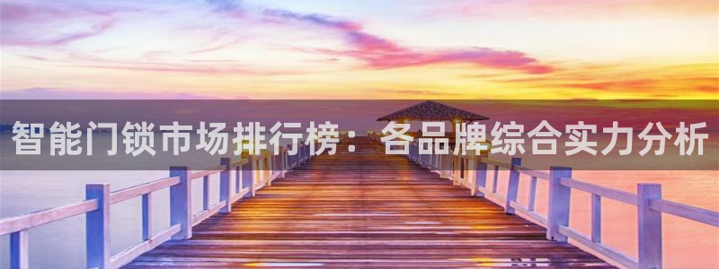 利记坊官网：智能门锁市场排行榜：各品牌综合实力分析