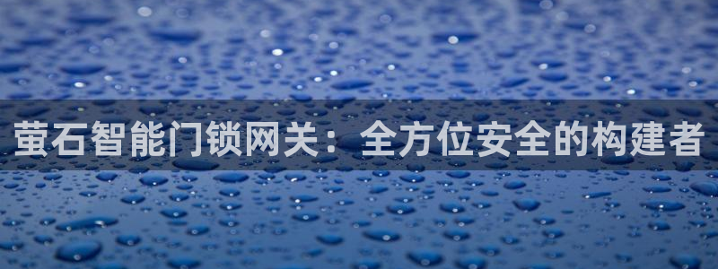 sbotop利记官网：萤石智能门锁网关：全方位安全的构建者