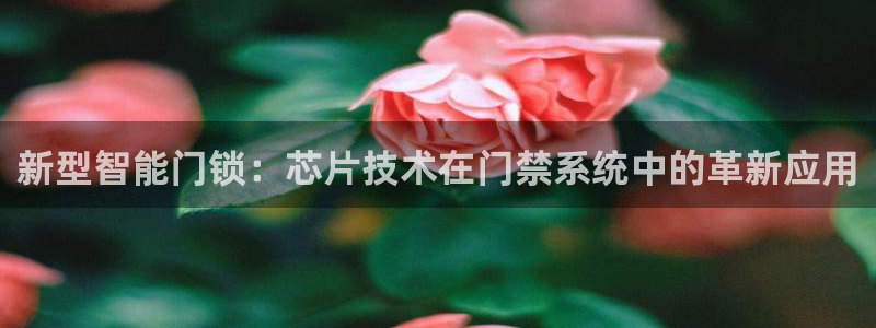 利记坊官网登录：新型智能门锁：芯片技术在门禁系统中的革新应用