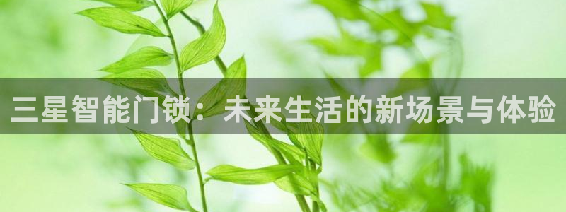 万利记官网电话：三星智能门锁：未来生活的新场景与体验