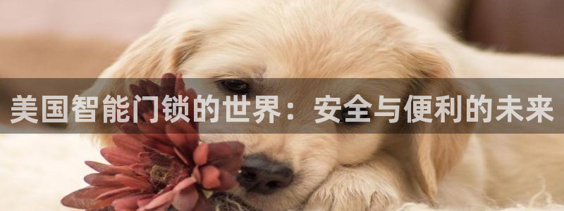 利记官网：美国智能门锁的世界：安全与便利的未来